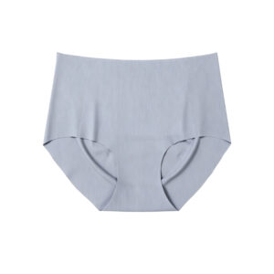 High-Waisted Seamless Briefs